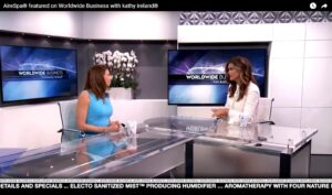 Kathy Ireland SnS Design product design Nisha Sawhney Airespa air enhancement system 6 1